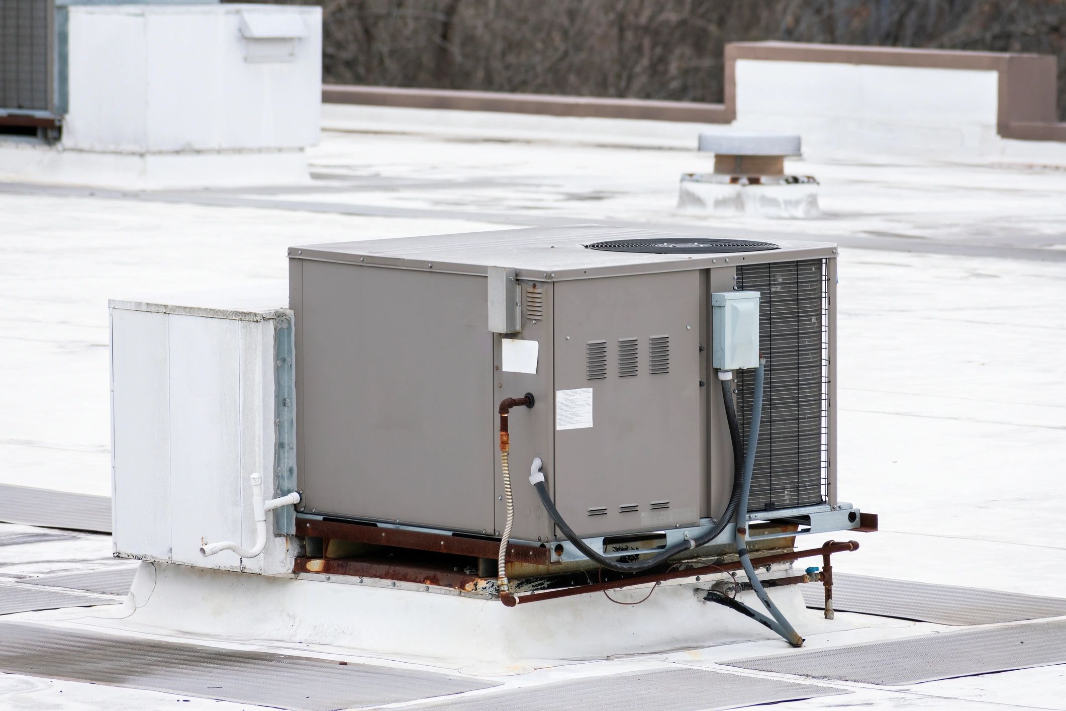 Service image